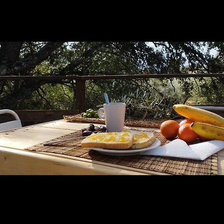 Cabana Del Arbol Lavagarural Villanueva del Rosario المظهر الخارجي الصورة