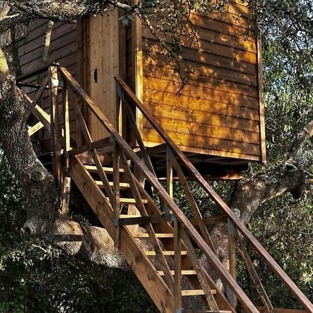 Cabana Del Arbol Lavagarural Villanueva del Rosario المظهر الخارجي الصورة