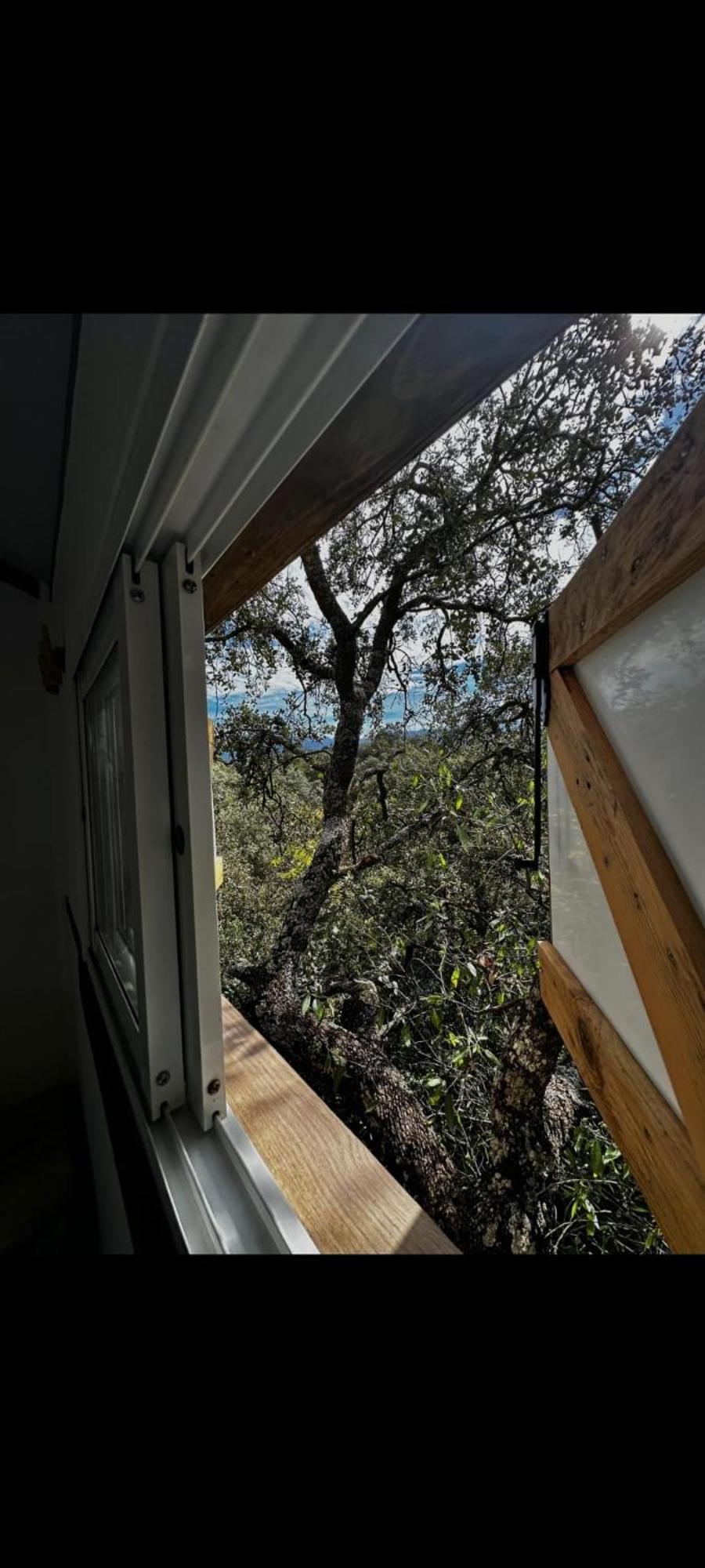 Cabana Del Arbol Lavagarural Villanueva del Rosario المظهر الخارجي الصورة