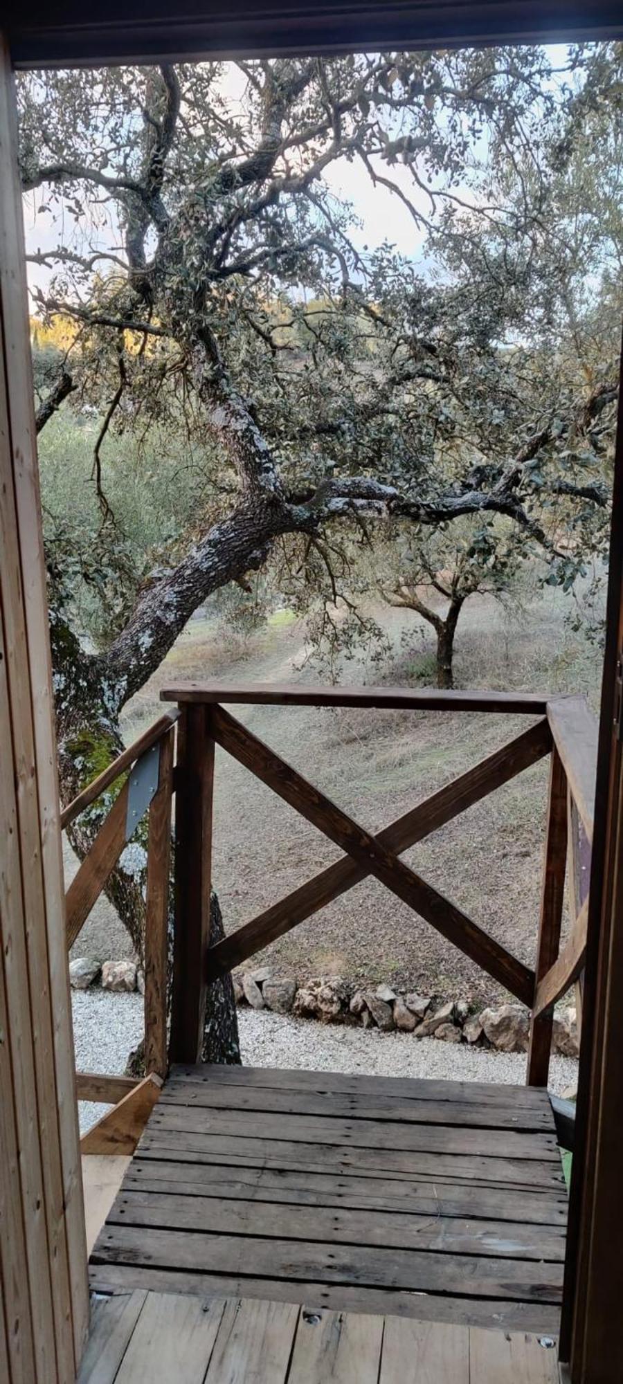 Cabana Del Arbol Lavagarural Villanueva del Rosario المظهر الخارجي الصورة