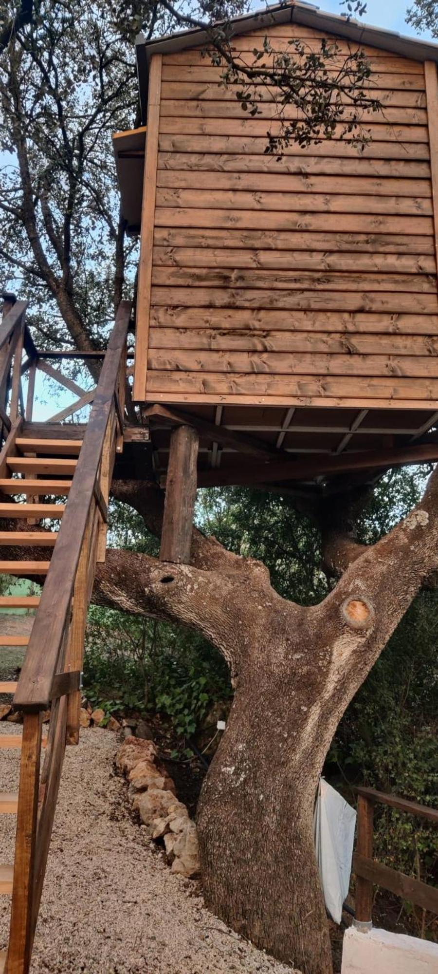 Cabana Del Arbol Lavagarural Villanueva del Rosario المظهر الخارجي الصورة